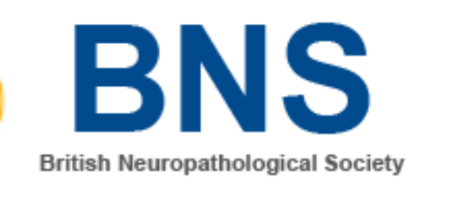 Promovendi Andrea Ganz spreekt op de 118e BNS bijeenkomst
