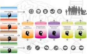 Amsterdam Neuroscience 1