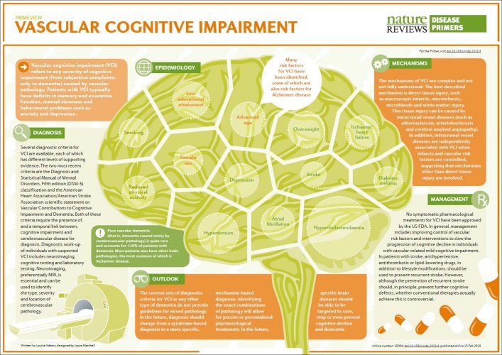 “Vascular Cognitive Impairment” een publicatie in Nature Reviews Disease Primers 3