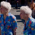 Artikel: Tweelingen geven inzicht in alzheimer