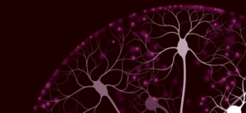 Nieuwste ontwikkelingen van ziekte van Alzheimer vanuit twee perspectieven