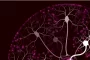 Nieuwste ontwikkelingen van ziekte van Alzheimer vanuit twee perspectieven