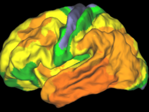 20 jaar onderzoek naar alzheimer