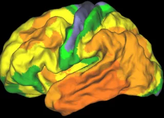 20 jaar onderzoek naar alzheimer