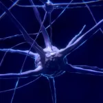 Promotie Ellen Dicks: Hersennetwerken kunnen weefselverlies voorspellen