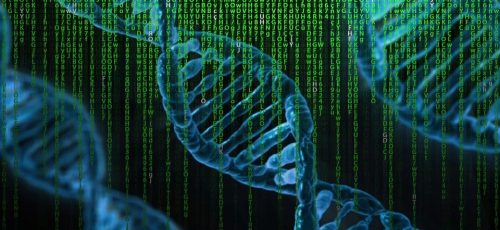 Nieuwe inzichten door identificatie van 75 genetische risicofactoren bij alzheimer