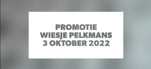 Promotie Wiesje Pelkmans 1
