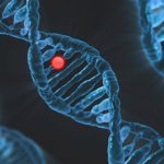 Genetisch testen op erfelijke oorzaken van dementie: perspectieven van patiënten en families