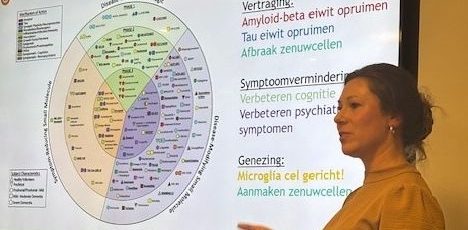 De rol van immuuncellen in het brein bij dementie