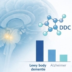 Nieuwe biomarker helpt bij herkennen van Lewy body-dementie 1