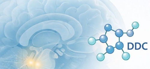 Nieuwe biomarker helpt bij herkennen van Lewy body-dementie 1