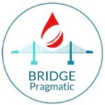 BRIDGE-Pragmatic logo
