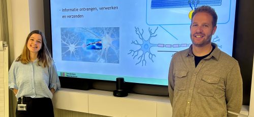 Hersenen onder de microscoop: wat gebeurt daar allemaal?